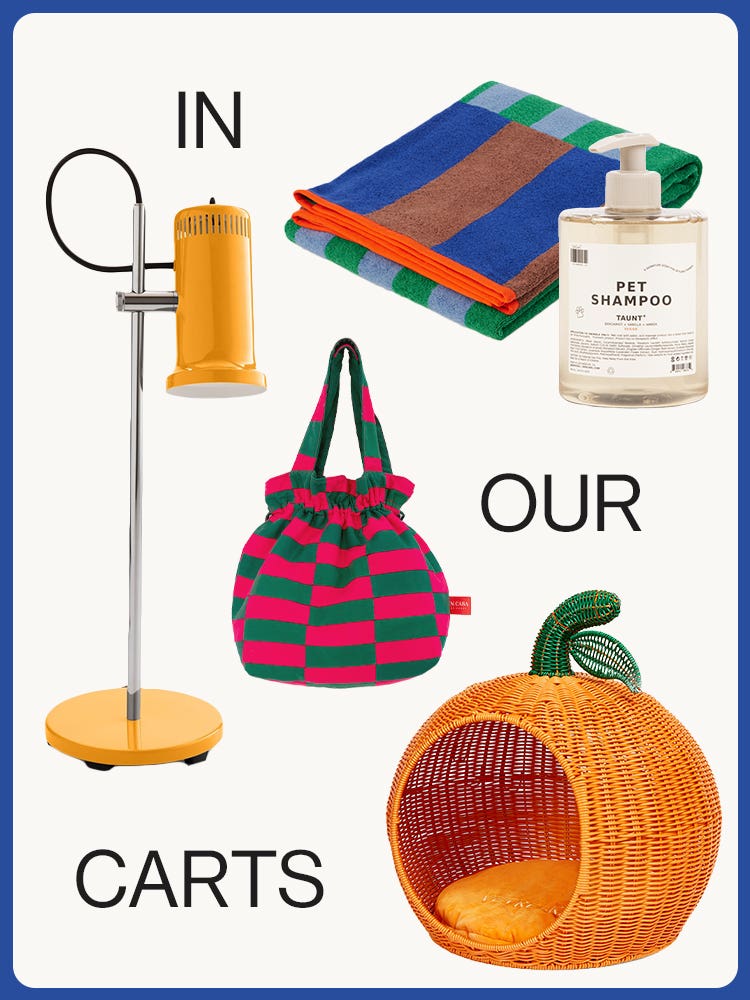A Few of Our Favorite August Things: A Cheeky Cat Bed and Bold Beach Towels